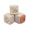6 Pack: Animal Jar of Wood Stamps by Recollections™